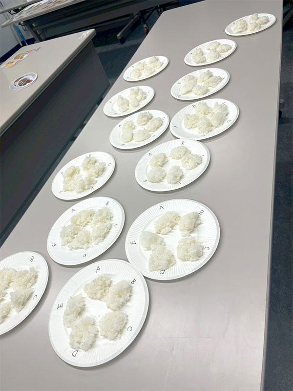 品川区サッカー連盟、小学生女子選手向け食すまワークショップ「食生活と怪我の予防・対応」